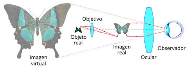 microscopio optico funcionamiento