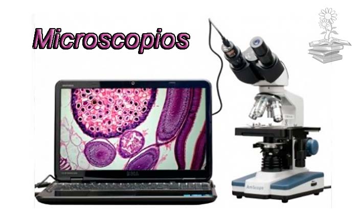 ▷ Microscopio: historia, tipos, partes. El Microscopio Óptico 🔬