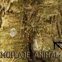 camuflaje animal portada