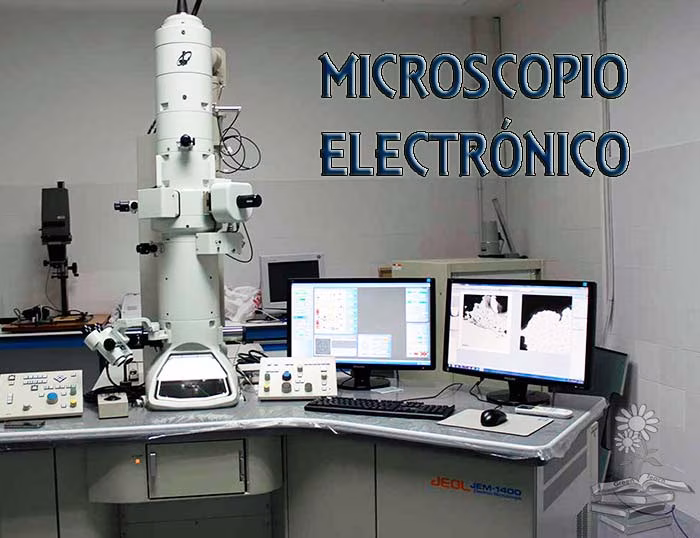 microscopio electronico portada