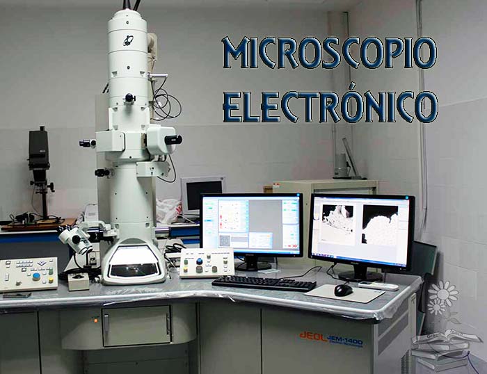 El Microscopio electrónico: partes, tipos y precio