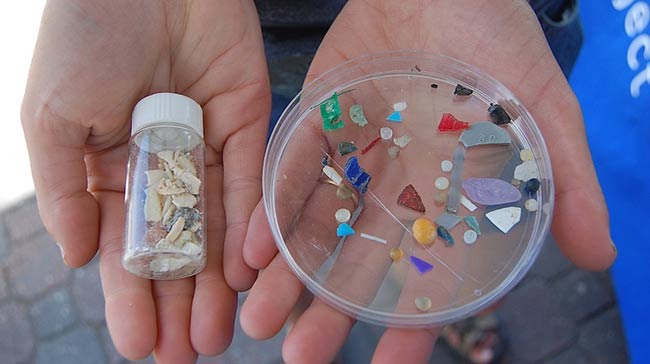 muestras de plasticos oceanicos