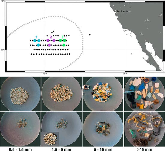 contaminantes en plasticos marinos Figura 1