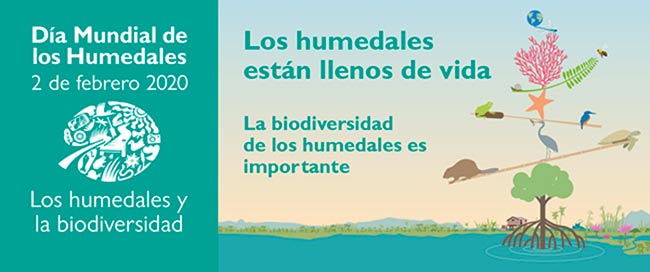 Dia Mundial de los Humedales 2020