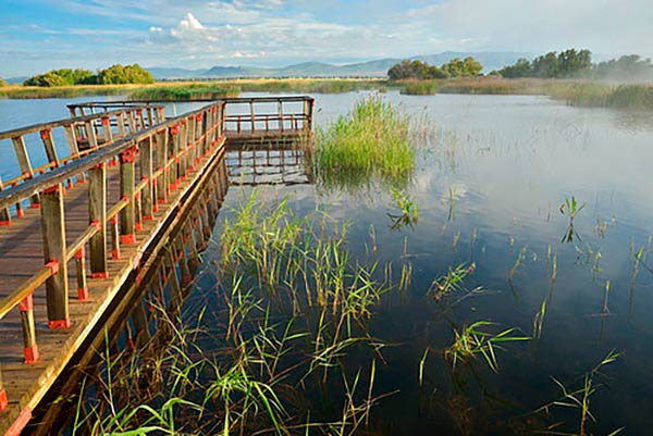 Tablas de Daimiel