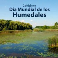 los humedales portada