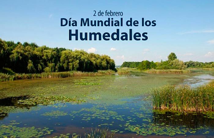 los humedales portada