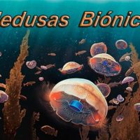 medusas bionicas portada