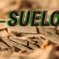 suelos portada