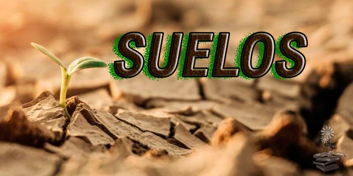 suelos portada