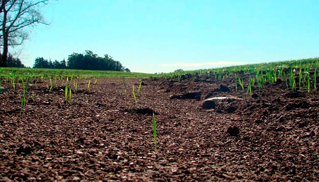 usos del suelo rural