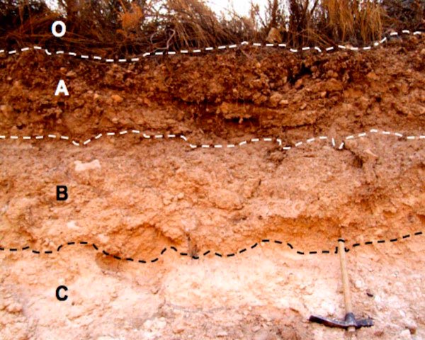 estructura del suelo pdf