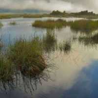 Las Tablas de Daimiel triplican su caudal portada