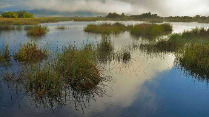 Las Tablas de Daimiel triplican su caudal portada