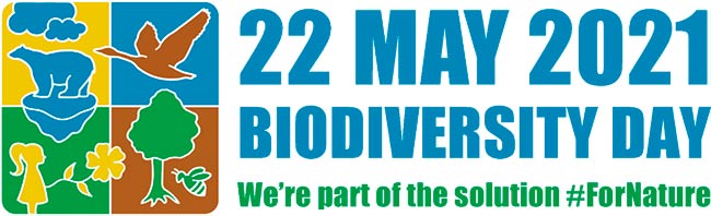 Día de la Biodiversidad 2021 eslogan y tema