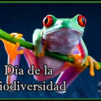 dia de la biodiversidad