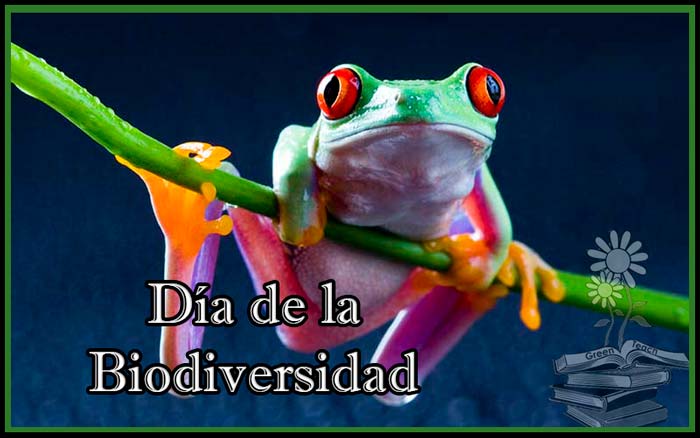 dia de la biodiversidad