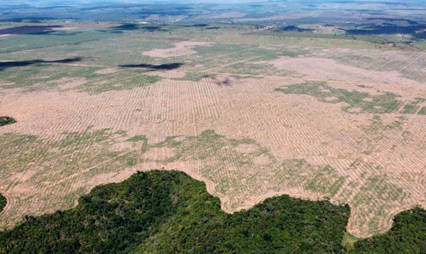 consecuencias Covid19 en Medio Ambiente