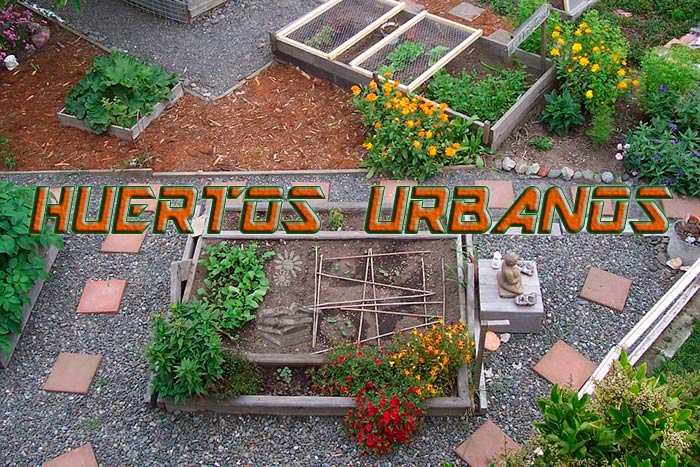 Huerto urbano. Qué es y cómo empezar a plantar en casa