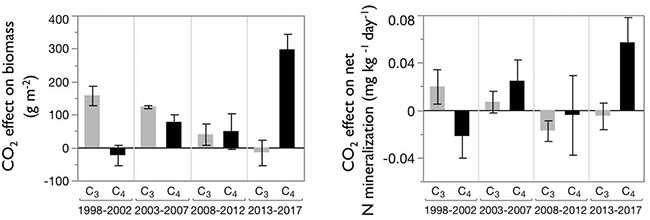 graficas plantas C3 vs C4 CO2 y Nitrogeno