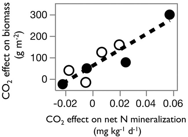 grafica comparativa aumento CO2 y nitrogeno en plantas C3 vs C4