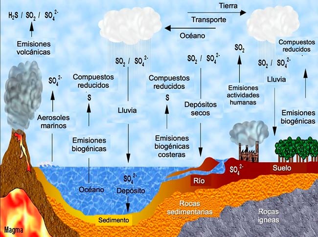 ciclo biogeoquimico del azufre