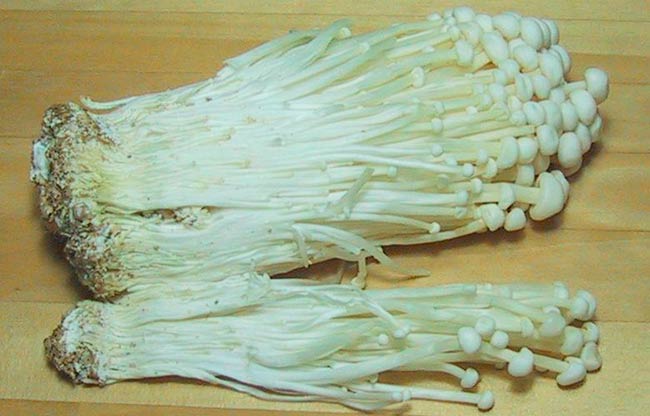 enoki