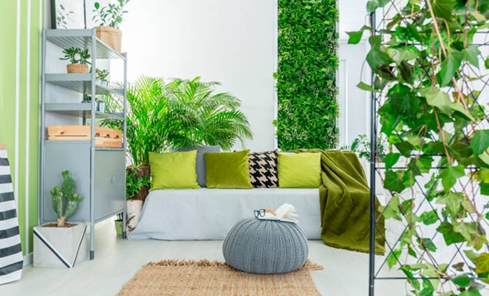 plantas para el dormitorio portada