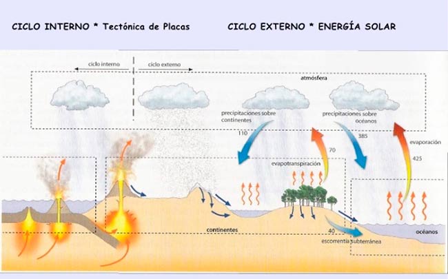 ciclo del agua interno y externo