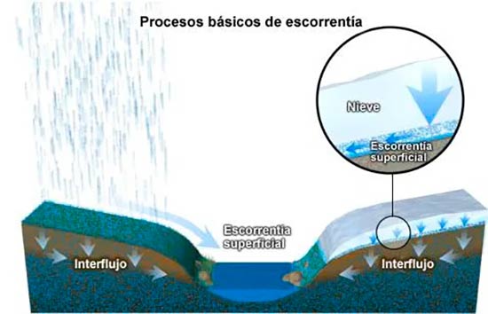 escorrentia del ciclo del agua