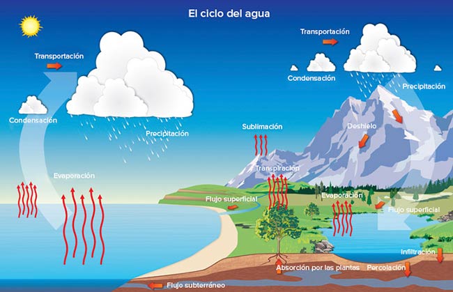 ciclo del agua fases