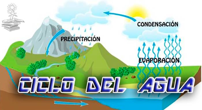 ciclo del agua portada