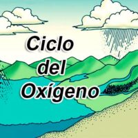 ciclo del oxigeno portada