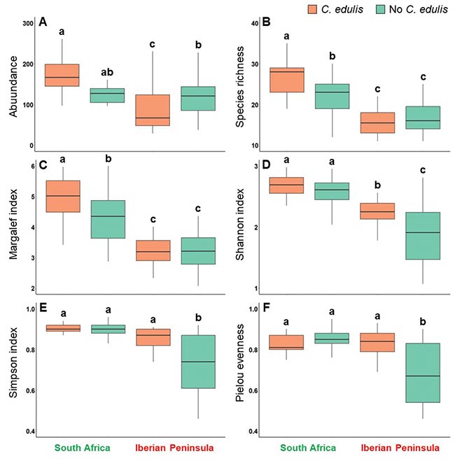 abundancia e indices diversidad invertebrados en Carpobrotus edulis