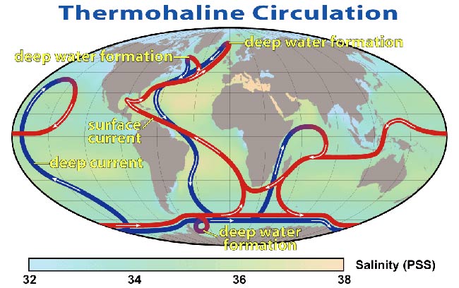 circulacion termohalina esquema