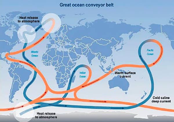 circulacion termohalina y cambio climatico