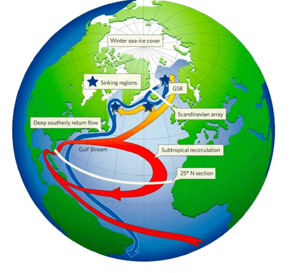 circulacion termohalina