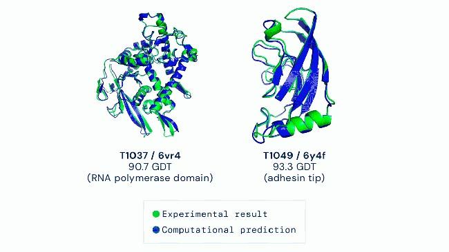 concurso CASP proteinas