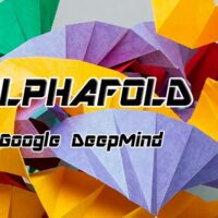 AlphaFold logro predecir el plegamiento de las proteinas Portada