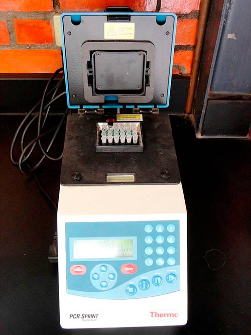 termociclador PCR