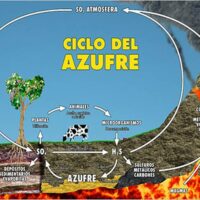 ciclo del azufre portada