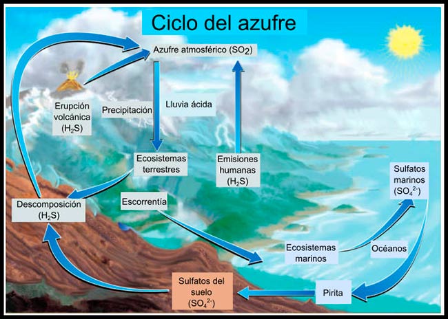 ciclo del azufre esquema