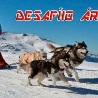 Desafio Artico portada