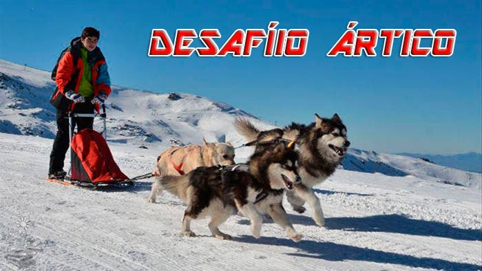 Desafio Artico portada