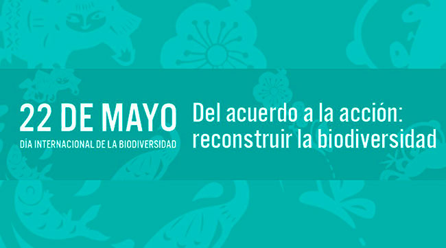 Día de la Biodiversidad 2023