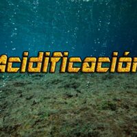 acidificacion de los oceanos portada