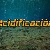acidificacion de los oceanos portada