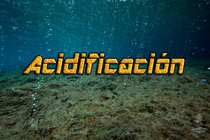 acidificacion de los oceanos portada