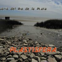 plastisfera en Estuario del Río de la Plata