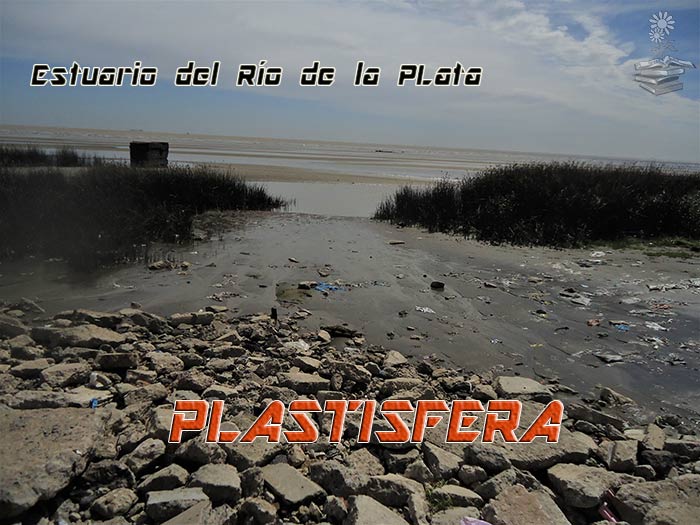 plastisfera en Estuario del Río de la Plata